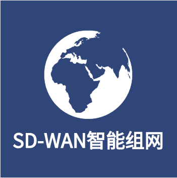 SD-WAN企業云組網